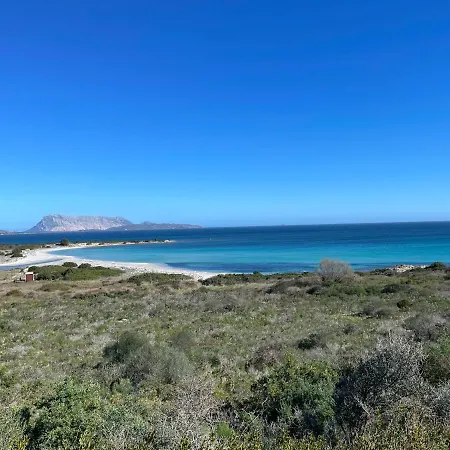 Casa vacanze Splendida San Teodoro (Sardinia)